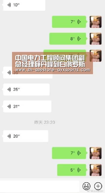 中国电力工程顾问集团副总经理薛丹峰到白俄罗斯总承包项目开展安全生产检查: 爱游戏官网(图1) 爱游戏官网