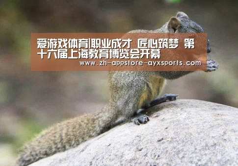 爱游戏体育|职业成才 匠心筑梦 第十六届上海教育博览会开幕(图1) 爱游戏体育